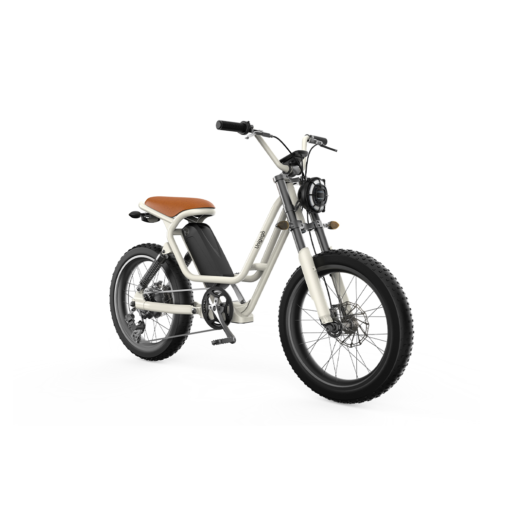 UniGoGo S4 Electric Bicycle | Designed for Women , Light & Convenient